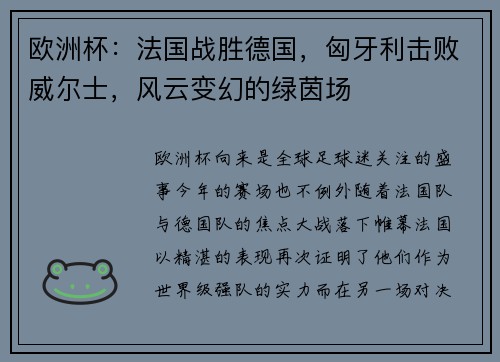 欧洲杯：法国战胜德国，匈牙利击败威尔士，风云变幻的绿茵场
